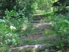 img00021