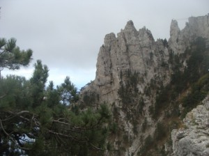 50