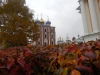 Рязань 2014 027 сжат