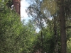 img00004