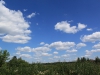 img00018