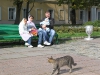 image00007