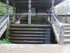 image00022