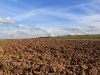 image00033