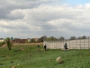 Дубровицы 2014 17