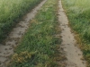 Троица 07